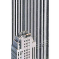 Rendering Eye: Urban America Revisited