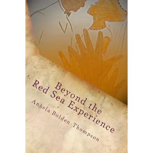 Beyond The Red Sea Experience