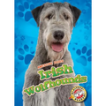 Irish Wolfhounds Irish Wolfhounds