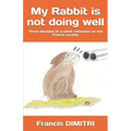 My Rabbit is not doing well: Three decades of a silent reflection on the French society