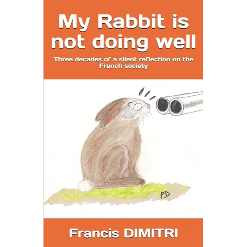 My Rabbit is not doing well: Three decades of a silent reflection on the French society