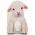 Furry Lamb