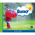 Eye on the Sky: Rainy