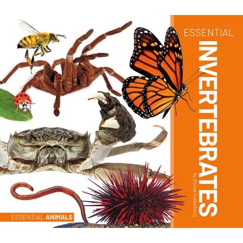 Essential Invertebrates
