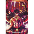 Magi: The Labyrinth of Magic, Vol. 12