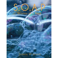S.O.A.P (Stories of a Poet)