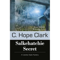 Salkehatchie Secret: Book 5 in the Carolina Slade Mysteries