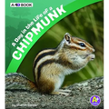 A Day in the Life of a Chipmunk: A 4D Book