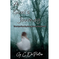 A Soul's Journey: The Story of Traveling through Time to Find the Truth