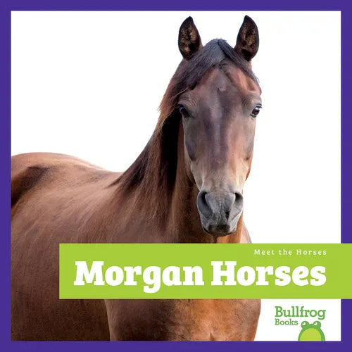 Morgan Horses