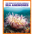 Sea Anemones