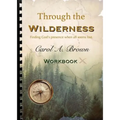 Through The wilderness WORKBOOK: A guided spiritual adventure through wilderness places.