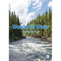 Wonderful Water