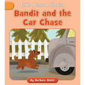 Bandit and the Car Chase