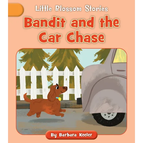 Bandit and the Car Chase