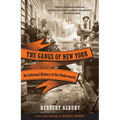 The Gangs of New York: An Informal History of the Underworld