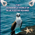 The Wonderful World of Blue-footed Boobies: Interesting Facts About Blue-footed Boobies