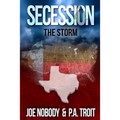 Secession: The Storm
