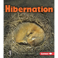 Hibernation