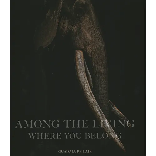 Among the Living: Where You Belong