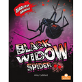 Black Widow Spider