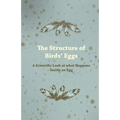 The Structure of Birds' Eggs - A Scientific Look at what Happens Inside an Egg