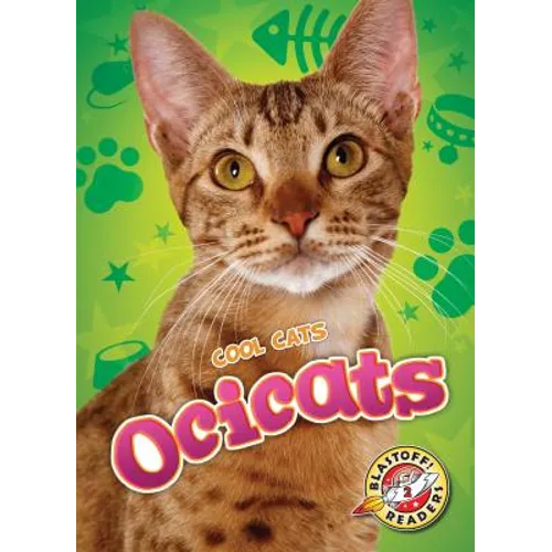Ocicats