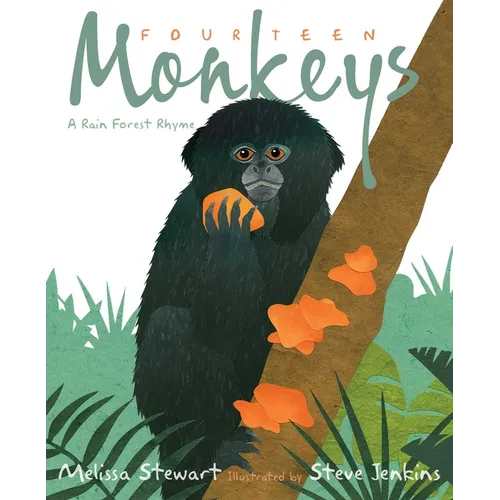 Fourteen Monkeys: A Rain Forest Rhyme