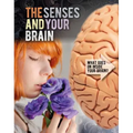 The Senses and Your Brain