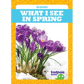 What I See in Spring