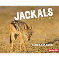 Jackals: Nature's Cleanup Crew