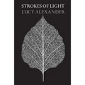 Strokes of Light