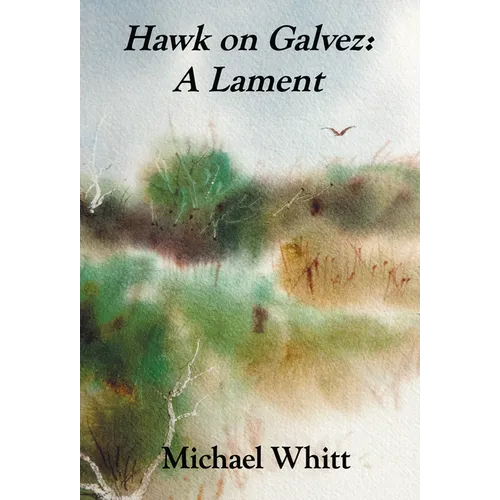 Hawk on Galvez: A Lament