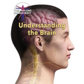 Understanding the Brain