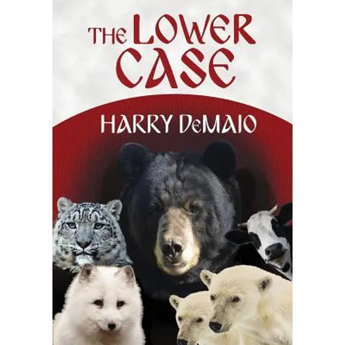 The Lower Case (Octavius Bear Book 4)