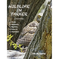 Wildlife In Parker: Colorado