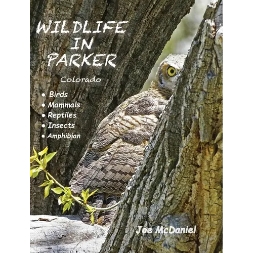 Wildlife In Parker: Colorado