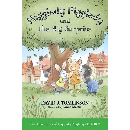 Higgledy Piggledy and the Big Surprise: The Adventures of Higgledy Piggledy Book 3 Volume 3