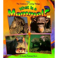 What Is a Mammal?