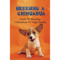 Breeding A Chihuahua: Guide To Breeding Chihuahuas Of High Quality: Chihuahua Dog Breed Information