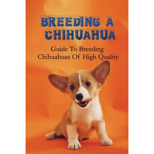 Breeding A Chihuahua: Guide To Breeding Chihuahuas Of High Quality: Chihuahua Dog Breed Information