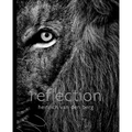 Reflection: Pocket Edition