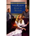 Rose in Bloom
