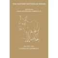 Notes on Common Animals