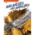 Avalanches and Landslides