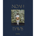 Noah Davis: In Detail