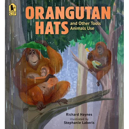 Orangutan Hats and Other Tools Animals Use