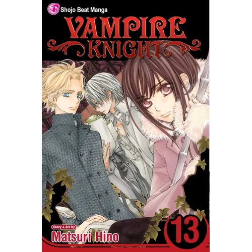 Vampire Knight, Vol. 13