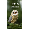Owls: A Folding Pocket Guide to Familiar and Unusual Species Worldwide