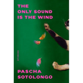The Only Sound Is the Wind: Stories
